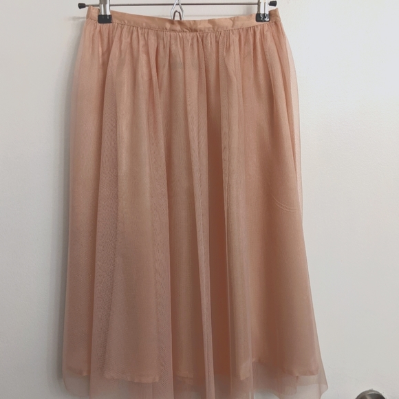 SOLD Zara Lined Tutu Skirt - Picture 1 of 3